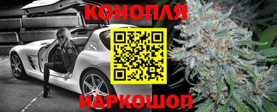 прущие грибы Будённовск