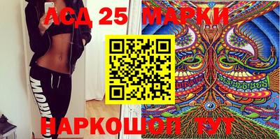 прущие грибы Будённовск
