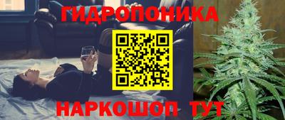 прущие грибы Будённовск