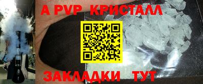 прущие грибы Будённовск
