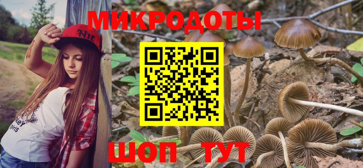 Галлюциногенные грибы Psilocybe  Вход с VPN  Ленинск-Кузнецкий 