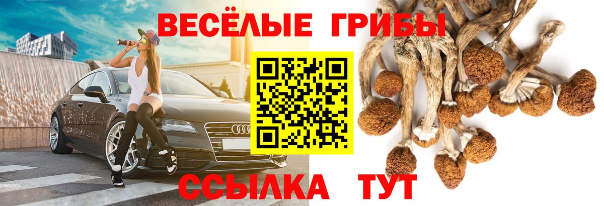 Галлюциногенные грибы Cubensis Ленинск-Кузнецкий